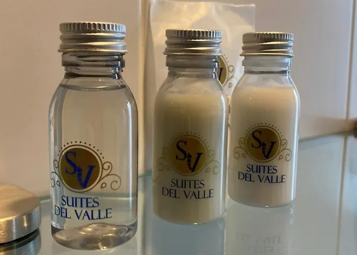 Del Valle 墨西哥城
